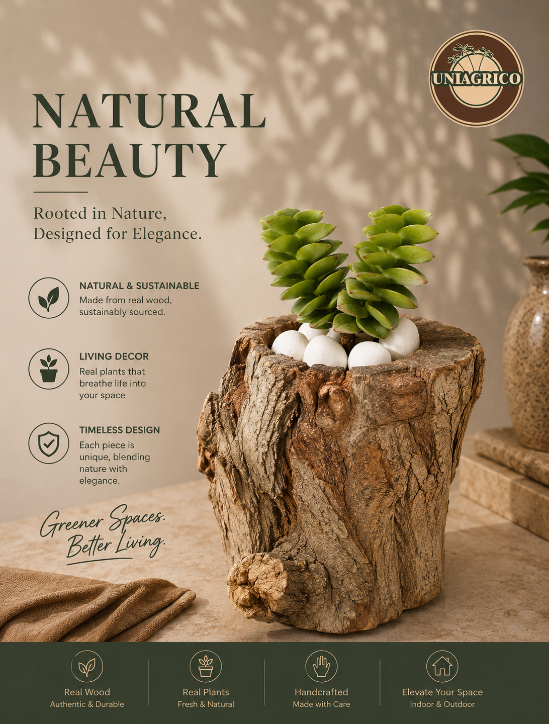 Natural tree-trunk planter with succulent plant
